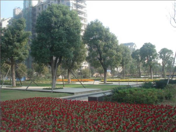 ���ʡ�(�й���)���޹�˾����