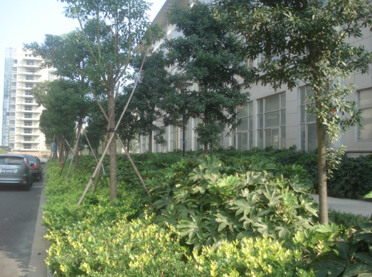 ���ʡ�(�й���)���޹�˾����