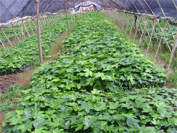 ���ʡ�(�й���)���޹�˾����