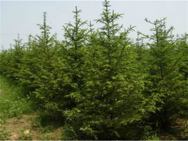 ���ʡ�(�й���)���޹�˾����