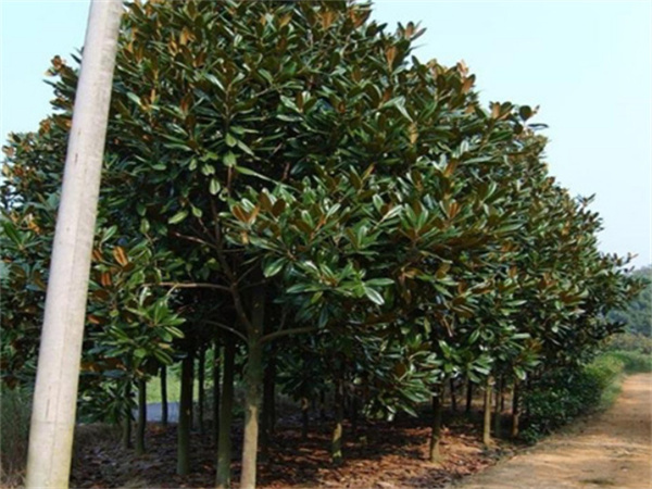 ���ʡ�(�й���)���޹�˾����