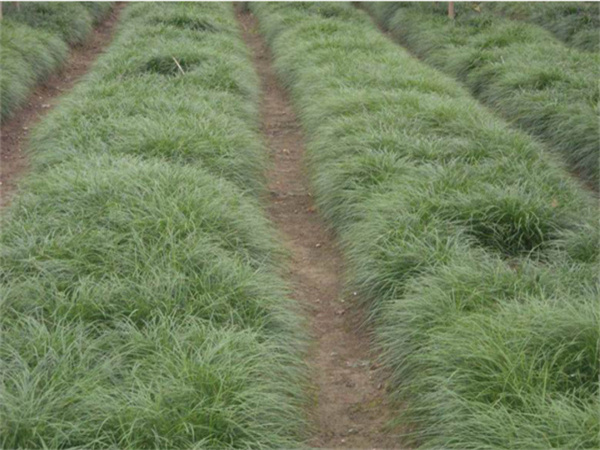 ���ʡ�(�й���)���޹�˾����