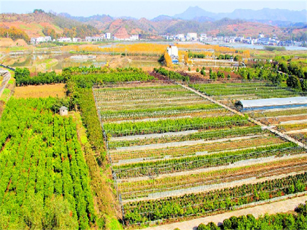 ���ʡ�(�й���)���޹�˾����