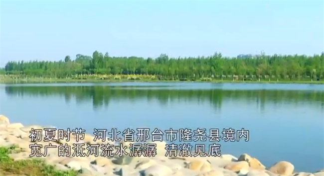 ���ʡ�(�й���)���޹�˾����