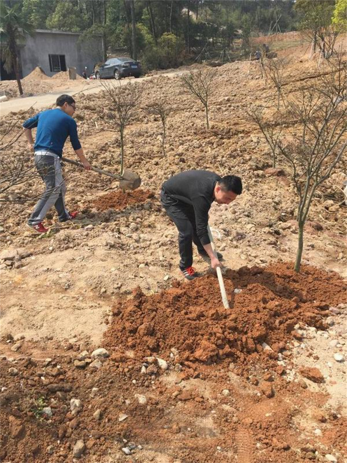 ���ʡ�(�й���)���޹�˾����